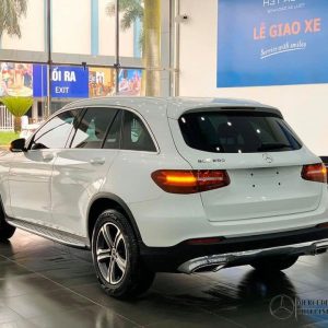 glc-2019 (5)-mercedeshanoi-com-vn